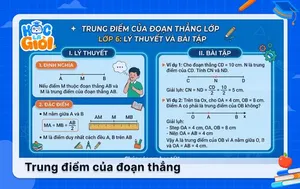 Trung điểm của đoạn thẳng lớp 6: Lý thuyết và Bài tập