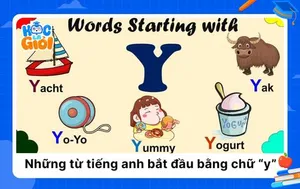 Tổng hợp 100+ từ tiếng anh bắt đầu bằng chữ y