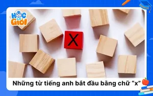 Kho báu từ vựng: 100+ từ tiếng anh bắt đầu bằng chữ x