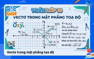 Vectơ trong mặt phẳng tọa độ: Lý thuyết và bài tập trọng tâm